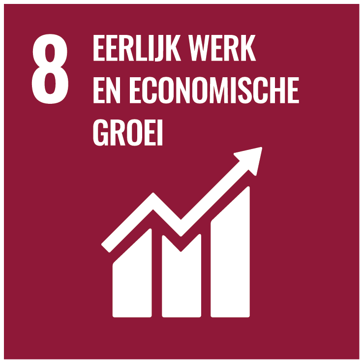 NL rbg SDG Goal 08