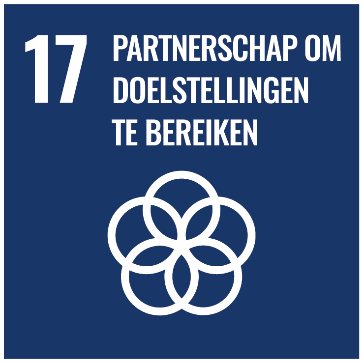NL rbg SDG Goal 17